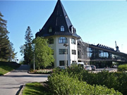 Majvik