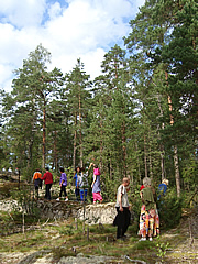 Soppuka Forest