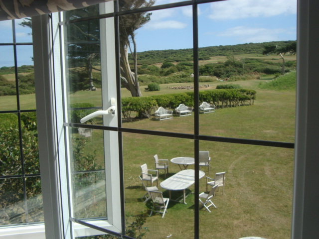 Garden from Window
