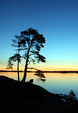 Midsummer