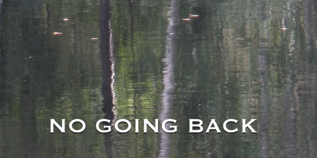 No Going Back header image